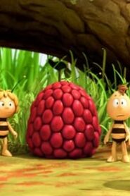 Maya the Bee: 2×16