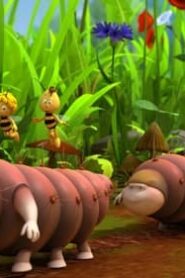 Maya the Bee: 2×6