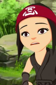 Mini Ninjas: 1×25