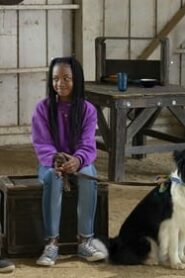 Puppy Place: 2×7