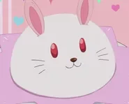 Pikachin-Kit: 1×5