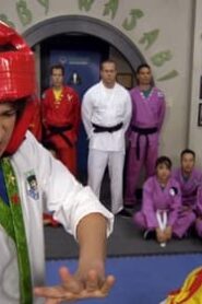 Kickin’ It: 2×14