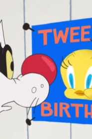 Looney Tunes Cartoons: 3×4