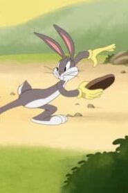 Looney Tunes Cartoons: 4×5