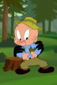 Looney Tunes Cartoons: 4×4