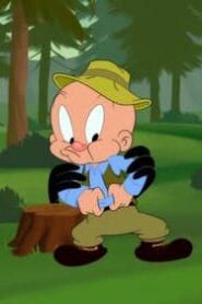 Looney Tunes Cartoons: 4×2