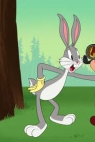 Looney Tunes Cartoons: 3×8