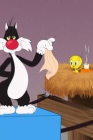Looney Tunes Cartoons: 4×8