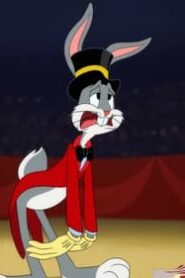 Looney Tunes Cartoons: 4×1
