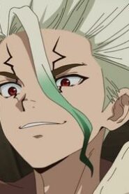 Dr. STONE: 4×5