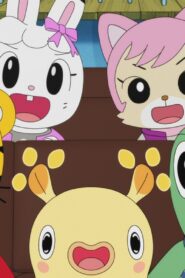 Shima Shima Tora no Shimajirō: 1×25