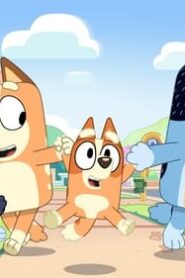 Bluey: 3×50