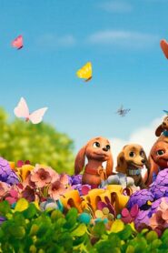 Pretzel and the Puppies: مغامرات برتزل وعائلته الكلاب في مسلسل مليء بالمرح والإلهام للأطفال