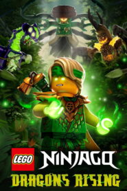 LEGO Ninjago: Dragons Rising: Season 4